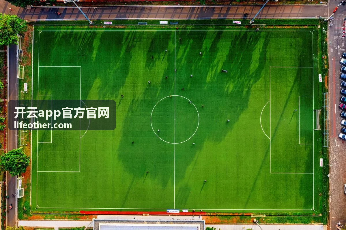 应用设置与状态核对界面示意